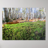 Fallen Tree in Autumn Moss - Personalised Poster (Voorkant)