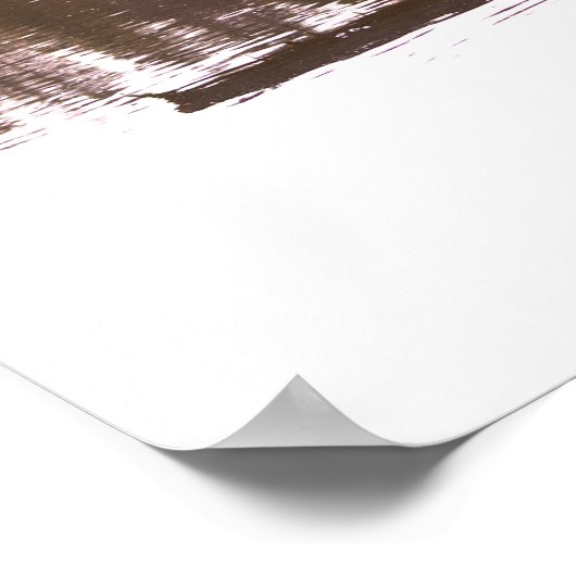 Fallen Tree Reflection Poster (Hoek)