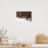 Fallen Tree Reflection Poster (Keuken)