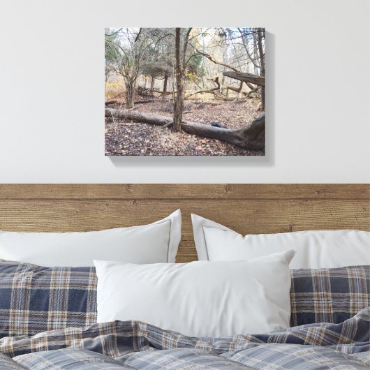 Fallen Trees Canvas Afdruk (Insitu (Slaapkamer))