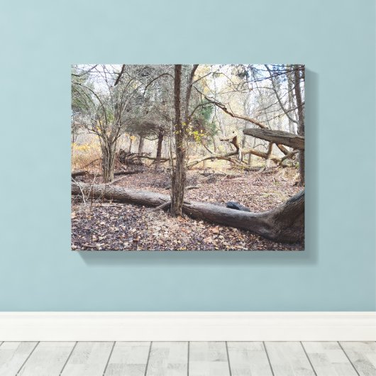 Fallen Trees Canvas Afdruk (Insitu (Houten vloer))