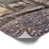 Fallen Trees Poster (Hoek)