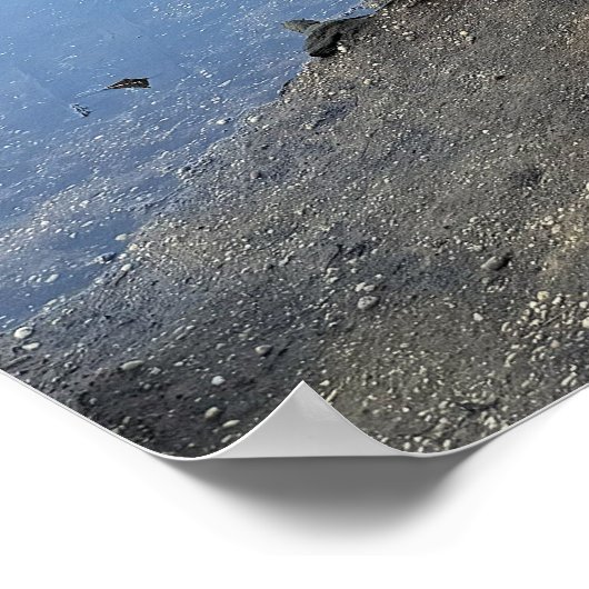 Fallen Trees Waterscape Poster (Hoek)