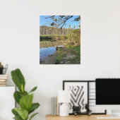 Fallen Trees Waterscape Poster (Thuiskantoor)