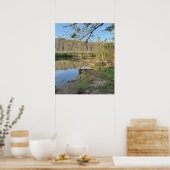 Fallen Trees Waterscape Poster (Keuken)