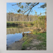 Fallen Trees Waterscape Poster (Voorkant)