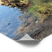 Fallen Trees Waterscape Poster (Hoek)