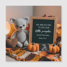  FallFall Zwangerschapsaankondiging