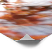 Falling Leaf from a tree in autumn Poster (Hoek)