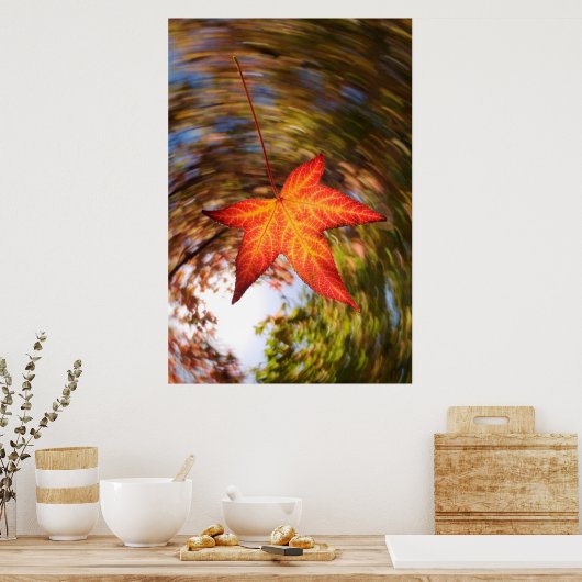 Falling Leaf from a tree in autumn Poster (Keuken)