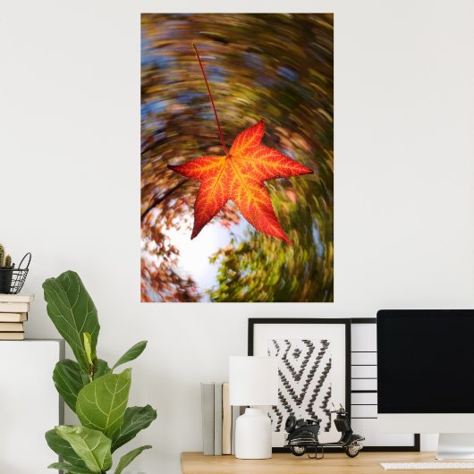 Falling Leaf from a tree in autumn Poster (Thuiskantoor)