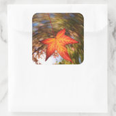 Falling Leaf from a tree in autumn Vierkante Sticker (Tas)
