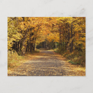 Falling Leaves   Autumn Home Gifts Briefkaart