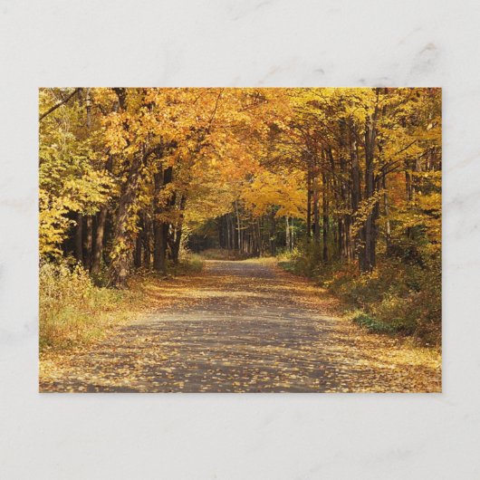 Falling Leaves | Autumn Home Gifts Briefkaart (Voorkant)