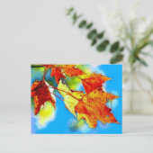 Falling Leaves Briefkaart (Staand voorkant)