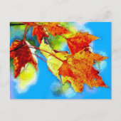 Falling Leaves Briefkaart (Voorkant)