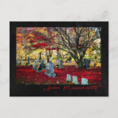 Falling Leaves in Salem, Massachusetts Briefkaart (Voorkant)