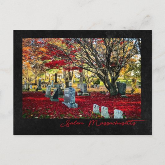 Falling Leaves in Salem, Massachusetts Briefkaart (Voorkant)