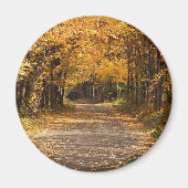 Falling Leaves Magneet (Voorkant)