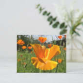 Falling Poppy Notes-Kaart Briefkaart (Staand voorkant)