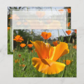 Falling Poppy Notes-Kaart Briefkaart (Voorkant / Achterkant)