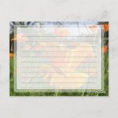 Falling Poppy Notes-Kaart Briefkaart (Achterkant)