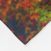 Falling Rainbow Fleece Blanket Deken (Hoek)