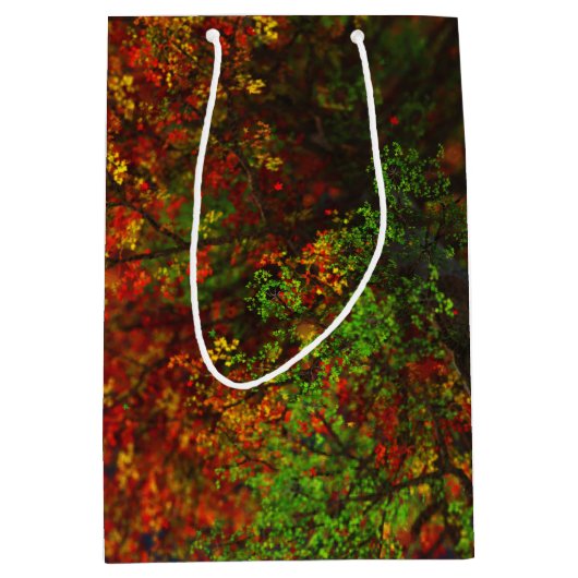 Falling Rainbow Gift Bag Medium Cadeauzakje (Voorkant)