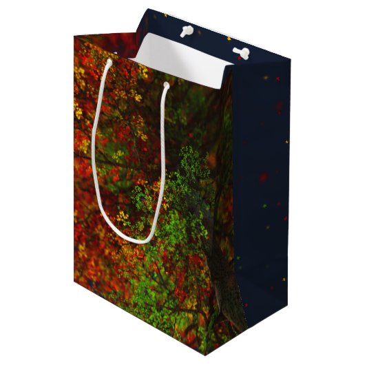 Falling Rainbow Gift Bag Medium Cadeauzakje (Voorkant Gekanteld)