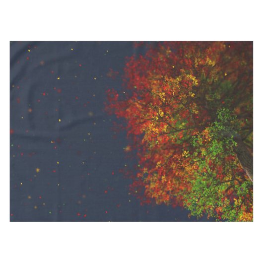 Falling Rainbow Tablecloth Tafelkleed (Voorkant (Horizontaal))