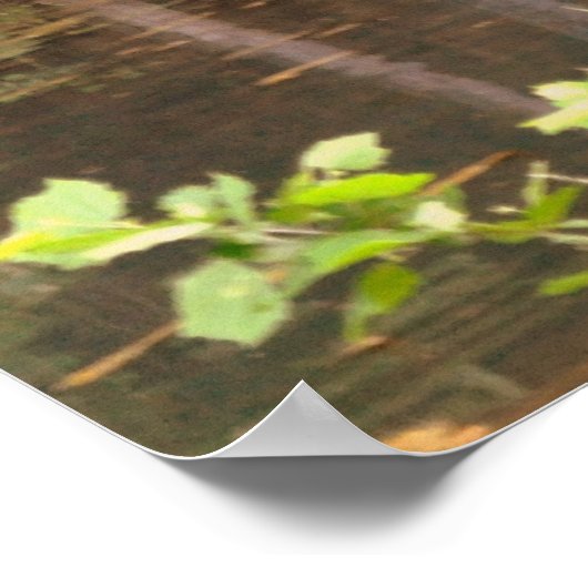 Falling Spring Mill Poster (Hoek)