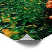 "Falling Stars" Poster (Hoek)