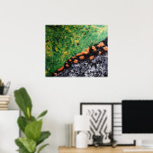 "Falling Stars" Poster (Thuiskantoor)