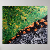 "Falling Stars" Poster (Voorkant)