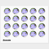 Falling Stars Ronde Sticker (Vel)
