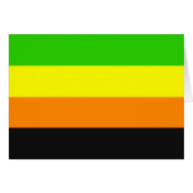 Fallln Aromantic Pride Flag (Voorkant Horizontaal)