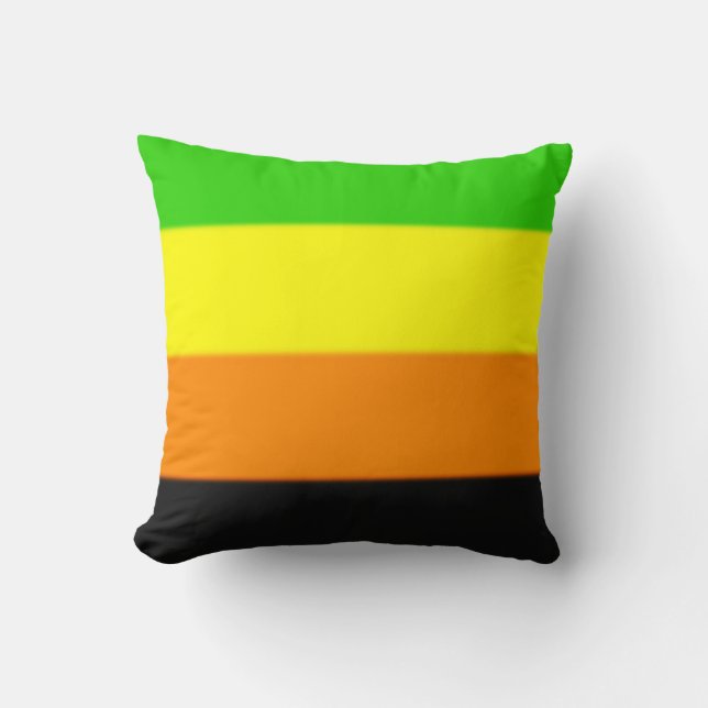 Fallln Aromantic Pride Flag Kussen (Voorkant)