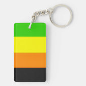 Fallln Aromantic Pride Flag Sleutelhanger (achterkant)