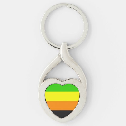 Fallln Aromantic Pride Flag Sleutelhanger (Voorkant)