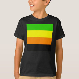 Fallln Aromantic Pride Flag T-shirt