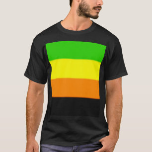 Fallln Aromantic Pride Flag T-shirt