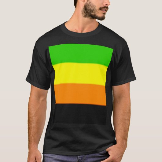 Fallln Aromantic Pride Flag T-shirt (Voorkant)