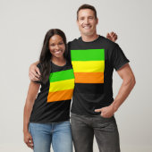Fallln Aromantic Pride Flag T-shirt (Unisex)