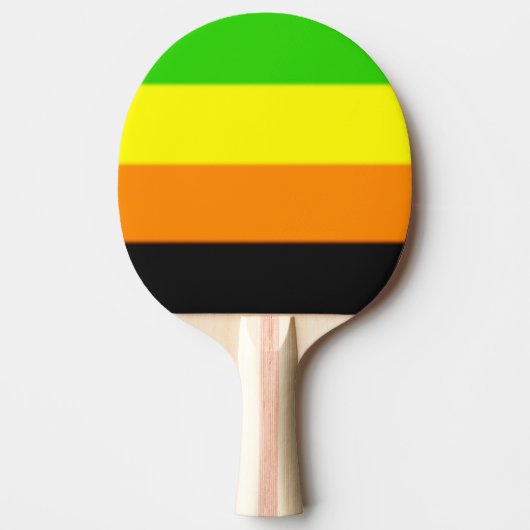 Fallln Aromantic Pride Flag Tafeltennisbatje (Voorkant)