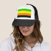 Fallln Aromantic Pride Flag Trucker Pet (In situ)