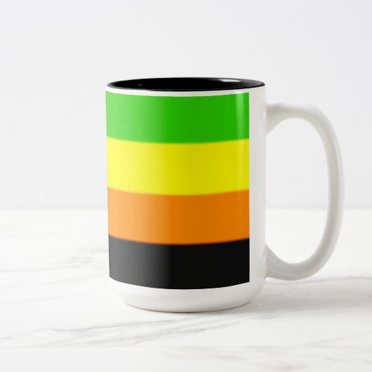 Fallln Aromantic Pride Flag Tweekleurige Koffiemok (Rechts)