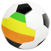 Fallln Aromantic Pride Flag Voetbal (Drie kwart)