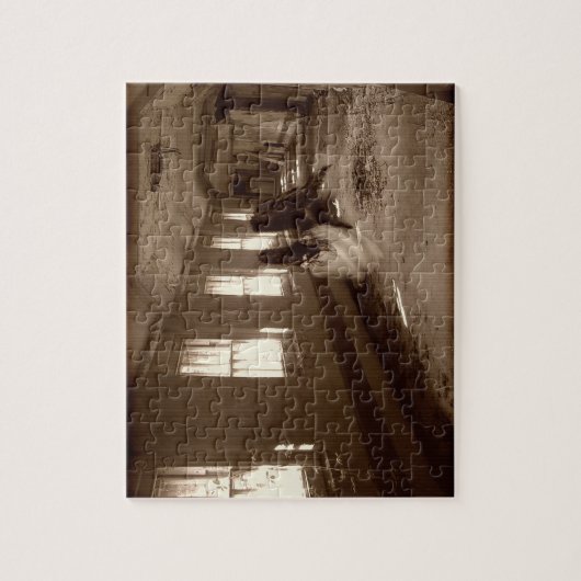 Falln Asylum Angel Legpuzzel (Verticaal)