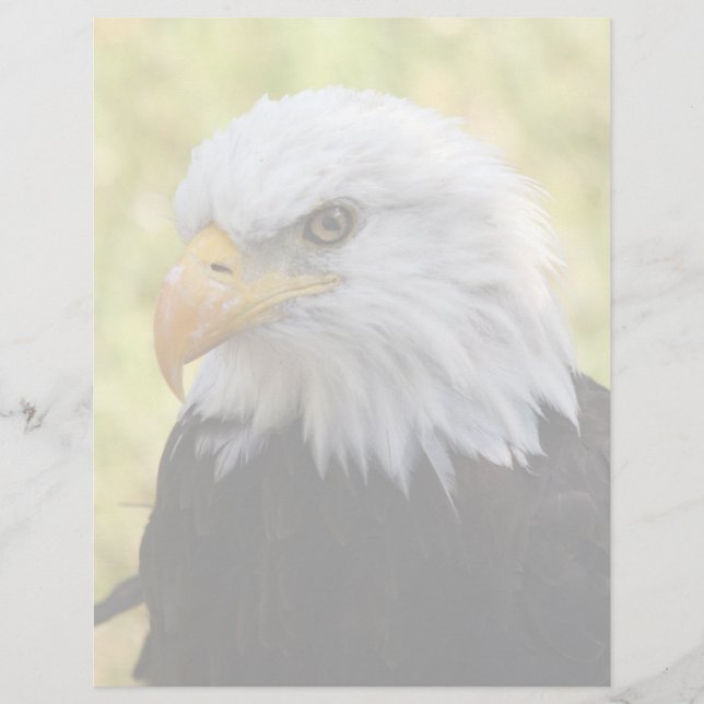 Falln Bald Eagle Liberty (Voorkant)