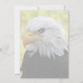 Falln Bald Eagle Liberty (Achterkant)